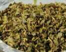Oregano